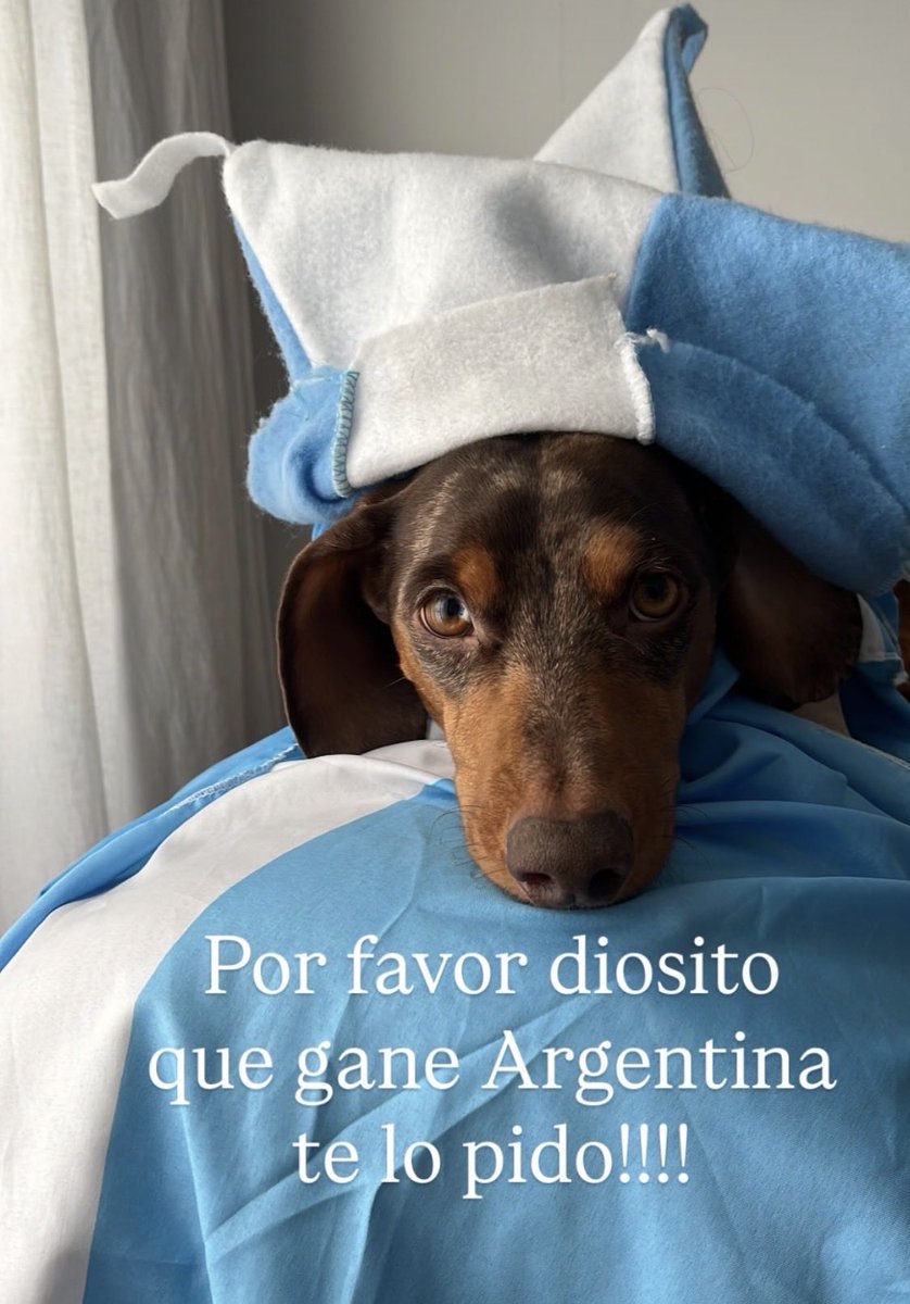 ale_briel's tweet photo. vamos Argentina!!! 🇦🇷🇦🇷🇦🇷🇦🇷 https://t.co/zuPVJRCaAB