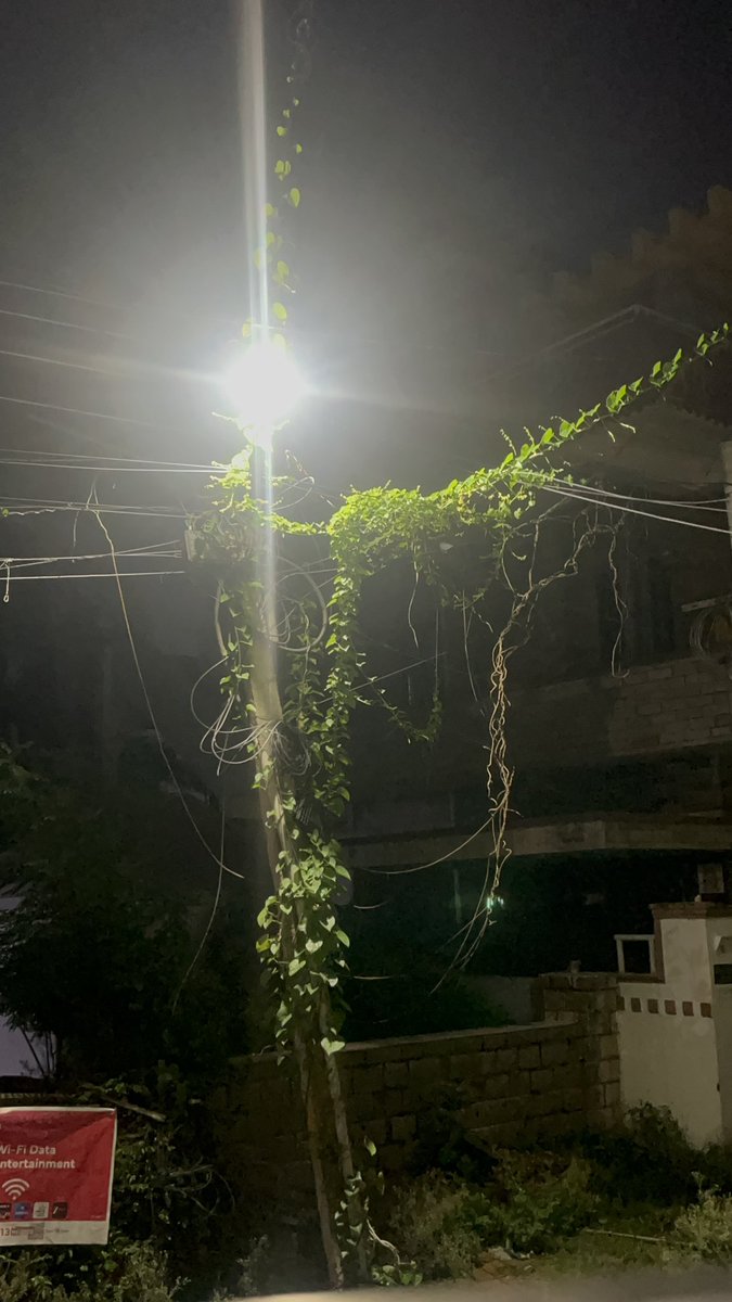 Prasad1302's tweet photo. @GHMCOnline I would like to report that climber plants have grown extensively on an electric pole and across the overhead power lines in our area. This vegetation may pose a safety risk and could interfere with maintenance or electricity supply if left unattended https://t.co/GGza7dfod9
