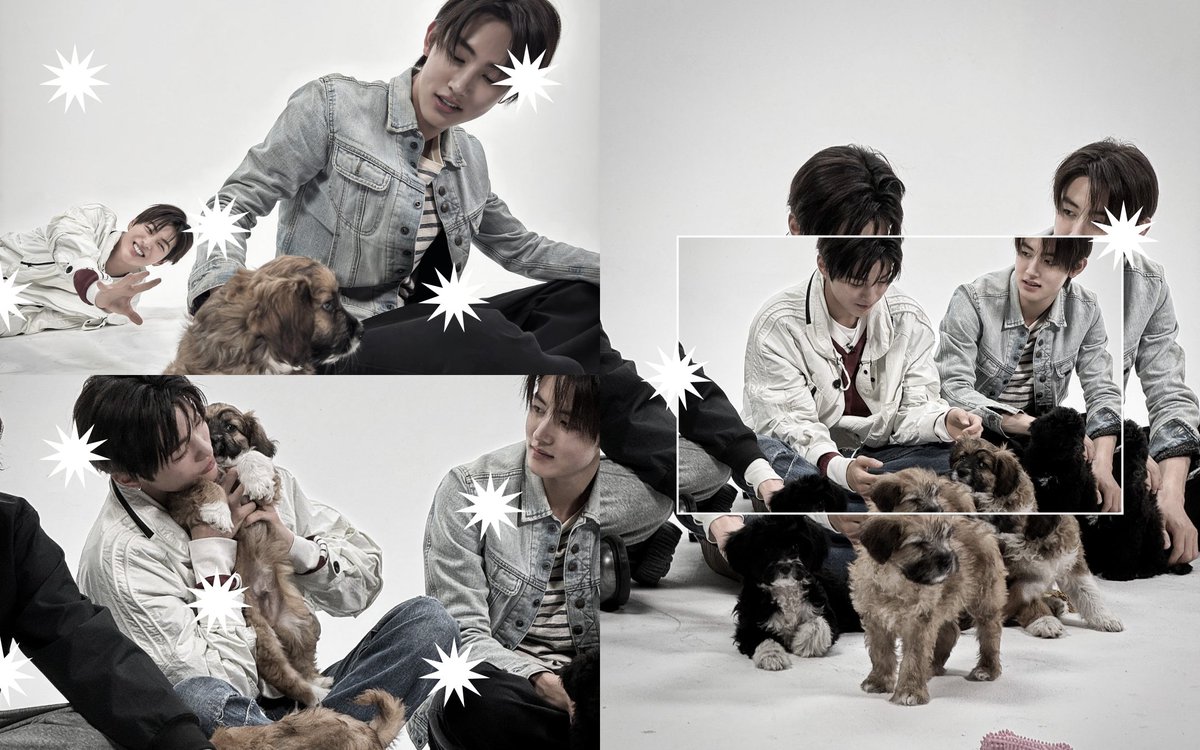 Keonfho's tweet photo. Today's therapy: chasing puppies and collecting memories. 🐾 https://t.co/xfAa2PUQRI