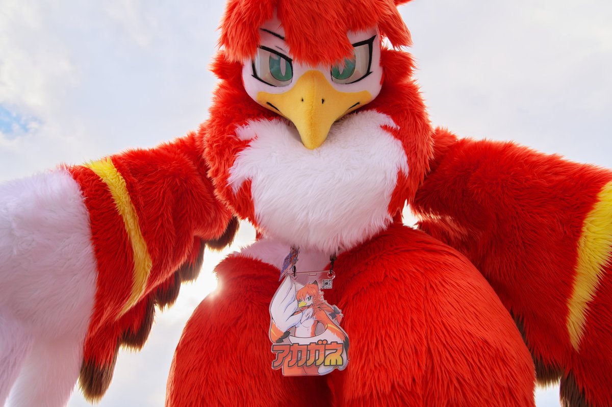 Flammie_Gf's tweet photo. 獣ヶ島5の現像ようやく終わった 相互の人にはちょっとずつ渡していこう @ruizu_777  #獣ヶ島 https://t.co/OBbbSWwvZU