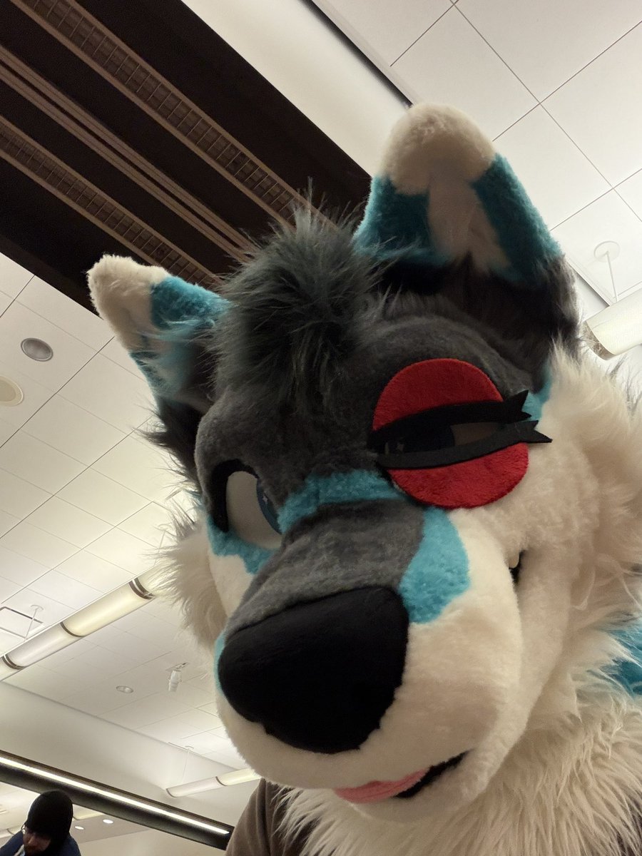 benjiwolf's tweet photo. the fuzz beat my ass at anthrocon 💔 https://t.co/9sX0DMO71e