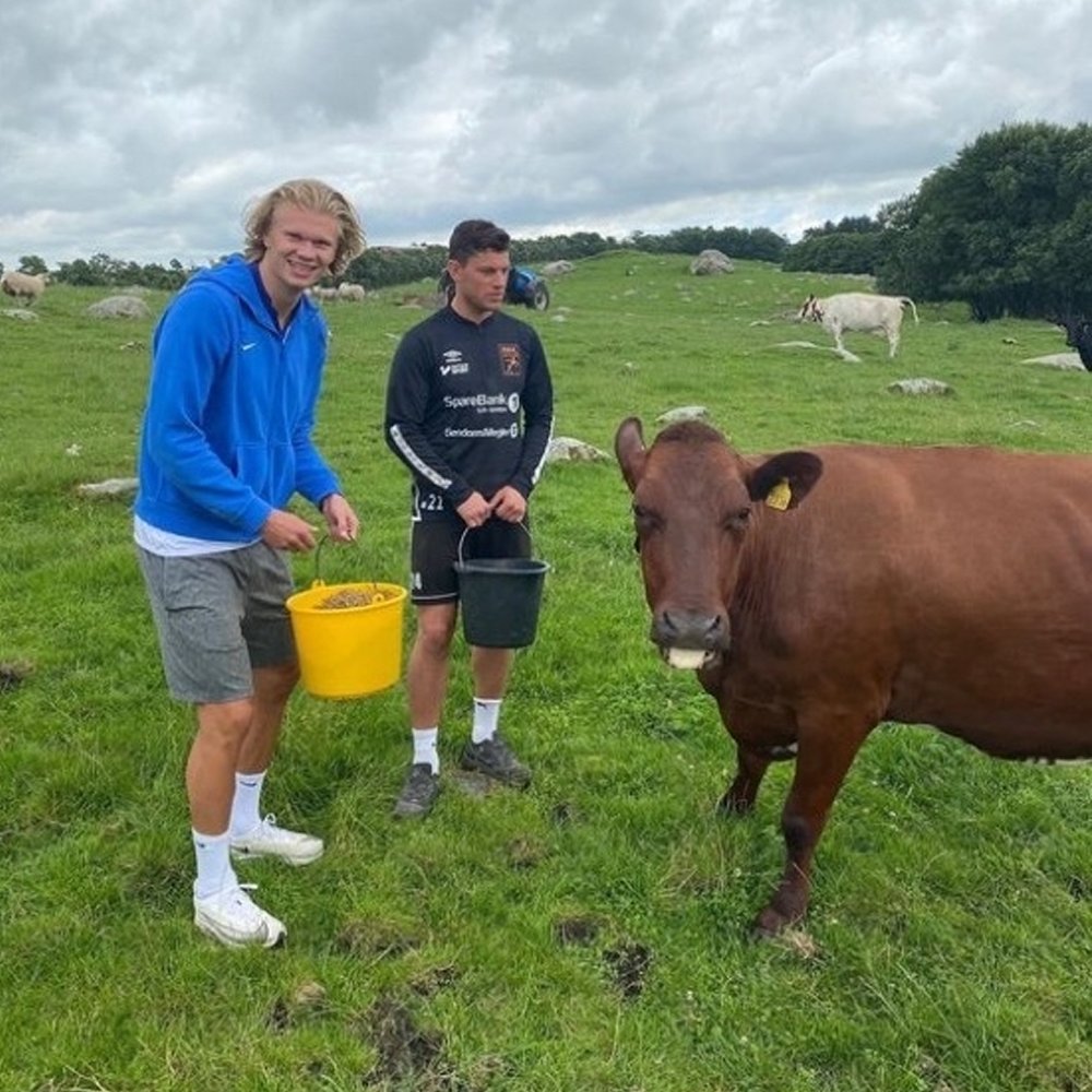 CultureHOF's tweet photo. Erling Haaland reveals his retirement dream is owning a farm and feeding his cows after hanging up his boots

"Driving a tractor, feeding my cows, that's my dream" https://t.co/JP2M1VtADJ