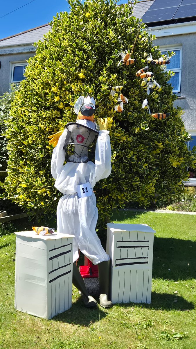 B_J_Sherriff's tweet photo. ๐ We loved spotting this beekeeper scarecrow at this weekend's Stithians Scarecrow Festival in Cornwall!
A fantastic display of creativity and community spirit. Great work to everyone who took part! ๐
#BJSherriff #Stithians #Cornwall #Beekeeping #ScarecrowFestival https://t.co/84H1THcQU6