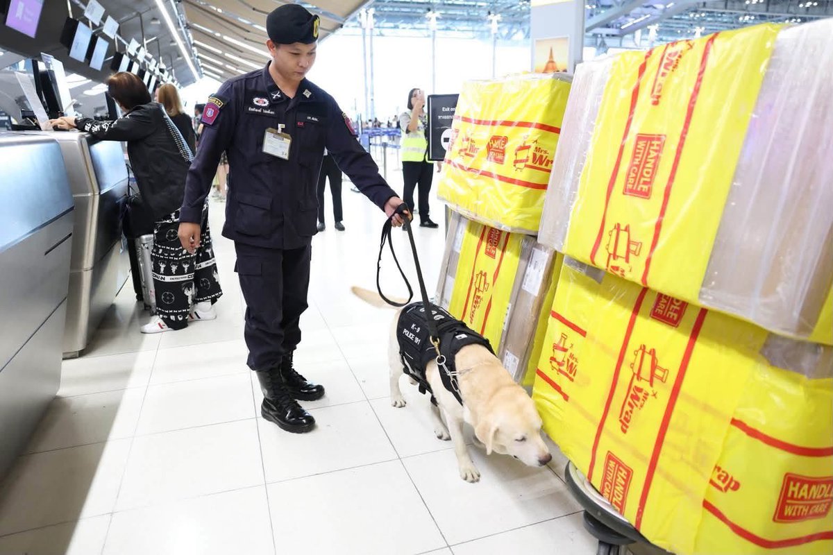 onenews31's tweet photo. AOT ยกระดับมาตรการรักษาความปลอดภัย ผนึกกำลังตำรวจ K-9 และหน่วยเกี่ยวข้องสกัดกั้นการลักลอบลำเลียงยาเสพติด ณ ท่าอากาศยานสุวรรณภูมิ
.
บริษัท ท่าอากาศยานไทย จำกัด (มหาชน) (AOT) เดินหน้ายกระดับมาตรการรักษาความปลอดภัยด้านการบิน เพื่อเพิ่มประสิทธิภาพในการป้องกันและสกัดกั้นการลักลอบลำเลียงยาเสพติดผ่านท่าอากาศยานโดยบูรณาการความร่วมมือกับหน่วยงานด้านความมั่นคงและหน่วยงานที่เกี่ยวข้อง เพื่อยกระดับประสิทธิภาพการตรวจค้นและเสริมสร้างมาตรฐานการรักษาความปลอดภัยด้านการบินให้มีความเข้มแข็งยิ่งขึ้น
.
AOT ได้บูรณาการการทำงานร่วมกับหน่วยงานที่เกี่ยวข้อง เพื่อนำบุคลากร เทคโนโลยี และระบบการบริหารจัดการความเสี่ยงมาใช้ในการยกระดับมาตรฐานการรักษาความปลอดภัยของท่าอากาศยาน ดังนี้ 
.
1.บูรณาการความร่วมมือกับกรมศุลกากร สำนักงานตำรวจแห่งชาติ และหน่วยงานที่เกี่ยวข้อง เพื่อเพิ่มประสิทธิภาพการตรวจสอบสัมภาระของผู้โดยสารและสัมภาระขนส่งขาออกผ่านการใช้เครื่องเอกซเรย์ (X-ray) ควบคู่กับการใช้สุนัขตรวจค้น (K-9) เพื่อเสริมศักยภาพในการตรวจจับสิ่งของต้องห้ามและยกระดับมาตรฐานการรักษาความปลอดภัยของท่าอากาศยาน 
.
2.เพิ่มความเข้มงวดในการตรวจสอบสัมภาระของลูกเรือ เพื่อยกระดับมาตรการด้านความปลอดภัยและลดความเสี่ยงในการลักลอบขนส่งสิ่งผิดกฎหมายผ่านท่าอากาศยาน 
.
3.ร่วมกับกรมศุลกากรและหน่วยงานที่เกี่ยวข้องดำเนินการเชื่อมโยงฐานข้อมูลระหว่างหน่วยงาน เพื่อให้การแลกเปลี่ยนข้อมูลเป็นไปอย่างรวดเร็ว ถูกต้อง และมีประสิทธิภาพ เพื่อเพิ่มประสิทธิภาพการบริหารจัดการด้านความมั่นคงและการรักษาความปลอดภัยของท่าอากาศยาน
.
ทั้งนี้ ท่าอากาศยานสุวรรณภูมิซึ่งเป็นท่าอากาศยานหลักของประเทศที่มีปริมาณเที่ยวบินระหว่างประเทศมากที่สุด และเป็นประตูการเดินทางทางอากาศระหว่างประเทศที่สำคัญของประเทศ จึงมีความจำเป็นต้องยกระดับมาตรการรักษาความปลอดภัยให้สอดคล้องกับปริมาณการใช้บริการและระดับความเสี่ยงในการลักลอบขนส่งสิ่งผิดกฎหมาย โดยได้ร่วมมือกับกองกำกับการสุนัขตำรวจ กองบังคับการสายตรวจและปฏิบัติการพิเศษกองบัญชาการตำรวจนครบาล นำสุนัขตำรวจ K-9 ซึ่งผ่านการฝึกเฉพาะทางด้านการตรวจหายาเสพติดเข้าปฏิบัติการสุ่มตรวจสัมภาระของลูกเรือและผู้โดยสารบริเวณเคาน์เตอร์เช็กอินโถงผู้โดยสารขาออกและจุดตรวจค้นผู้โดยสารขาออกระหว่างประเทศ ท่าอากาศยานสุวรรณภูมิ ตั้งแต่วันที่ 7 กรกฎาคม 2569 แล้ว
.
AOT พร้อมประสานความร่วมมือกับสำนักงานการบินพลเรือนแห่งประเทศไทย กรมศุลกากร สำนักงานตรวจคนเข้าเมือง สำนักงานตำรวจแห่งชาติ สำนักงานคณะกรรมการป้องกันและปราบปรามยาเสพติด  และสายการบิน เพื่อยกระดับด้านการรักษาความปลอดภัยให้สอดคล้องกับมาตรฐานสากลตลอดจนป้องกันไม่ให้ประเทศไทยถูกใช้เป็นเส้นทางลำเลียงยาเสพติดไปยังประเทศที่สาม เพื่อสร้างความเชื่อมั่นให้กับผู้โดยสารและสายการบิน

#สำนักข่าววันนิวส์