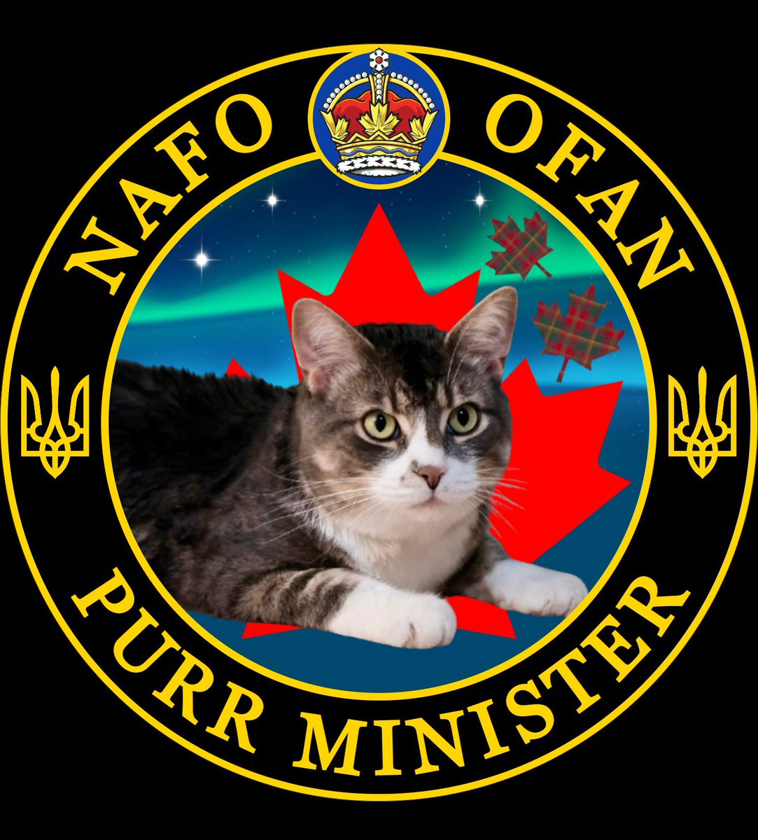 CarneyPurr67561's tweet photo. My address to @Official_NAFO: https://t.co/rDXyh7m8vW