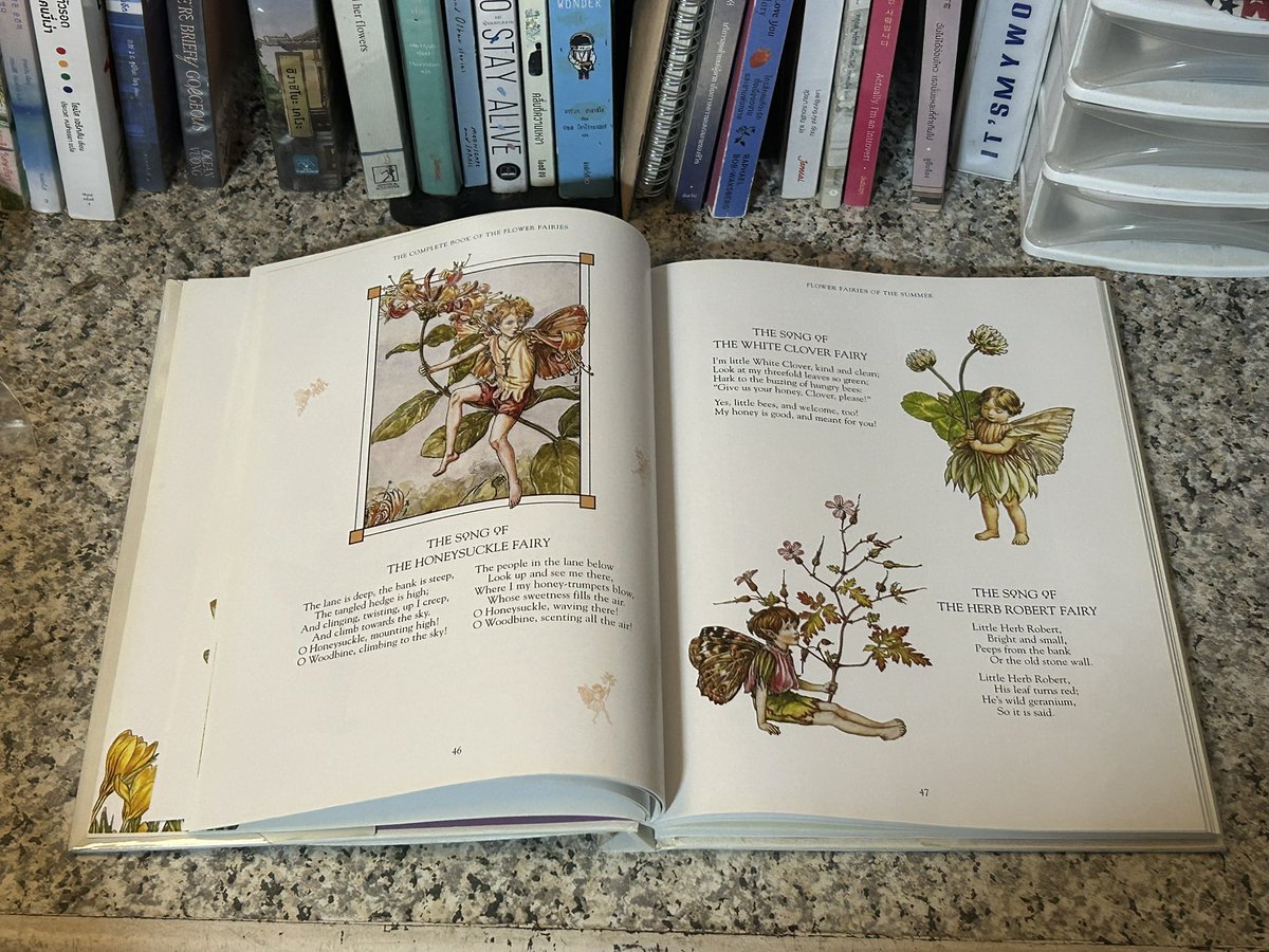 Galene02's tweet photo. ส่งต่อหนังสือ🙌🏻✨

• The art of heikala :works and thoughts 950
• The complete book of the flower fairies 850

ค่าส่ง 50 📮✨ (หนังสือเล่มใหญ่ค่ะ🙇🏻‍♀️)

#ส่งต่อหนังสือ #หนังสือมือสอง #หนังสือภาษาอังกฤษ #หนังสือภาพ https://t.co/LvfWKCY9I0