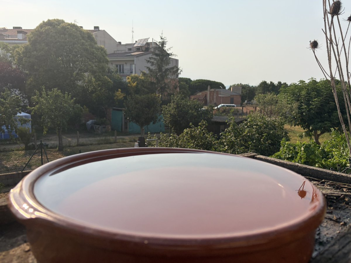 Jordisolerramio's tweet photo. Ho tono a dir
Si podeu poseu punts d’aigua en els vostres jardins,balcons etc….
Punts d’aigua en zones on no en tinguin aprop,fins i tot al medi natural
Ajudareu a la fauna a aguantar l’onada de calor
A casa cada dia nova, així no tindreu mosquits tigre
Som-hi💪 https://t.co/iA8aFXsyMf
