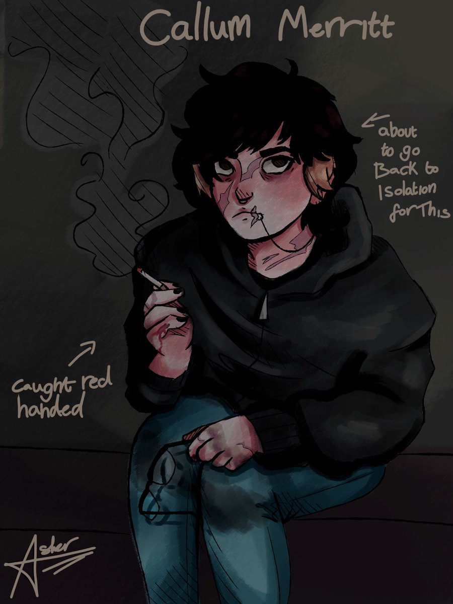 ASHER 🏴♿ (COMMS OPEN) tweet media