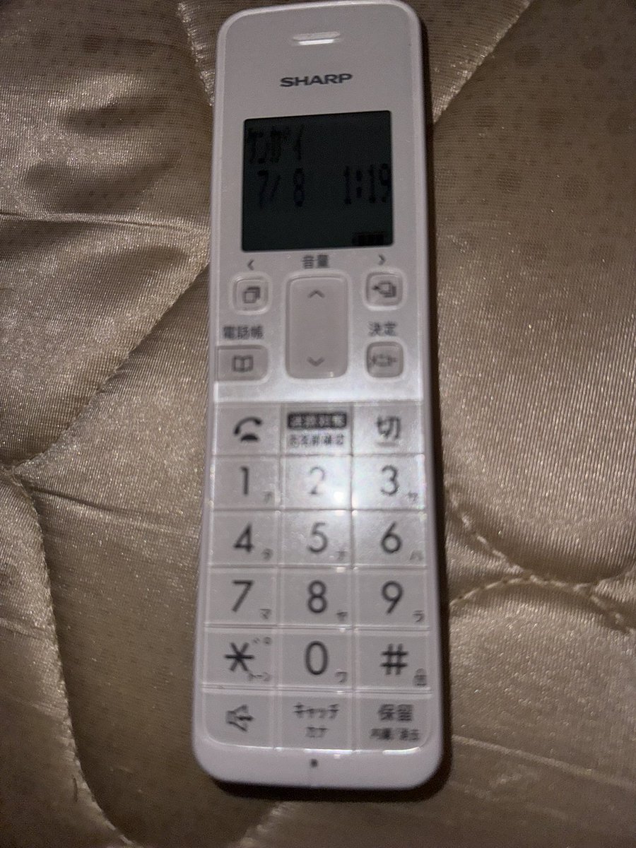 shishidoon's tweet photo. バック整理してたら会社の電話持ってきちゃった https://t.co/1ZEXiLovHE