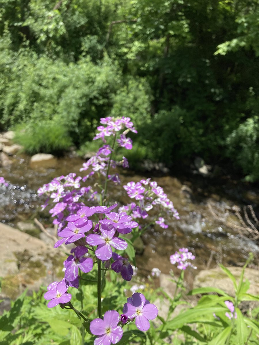 Bethdelua's tweet photo. Beautiful nature 🤍 https://t.co/WVNYgBPtVQ