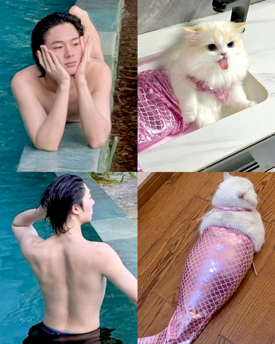 honeyminaa's tweet photo. 🧸🩵💛🦮🐕˚◞#ZeeNuNew 🎀🐈﹆🩷🦄
@zee_pruk 🤎.                           . 🌸 @CwrNew
🐶🐾 ม๋าเด็ก                       กะแมวแอเรียล 🐱🐠 
💙🐬🩵🫧#ZeePruk    #NuNew 🪸🐚👱🏻‍♀️🦞 https://t.co/aPj8rzMbRf