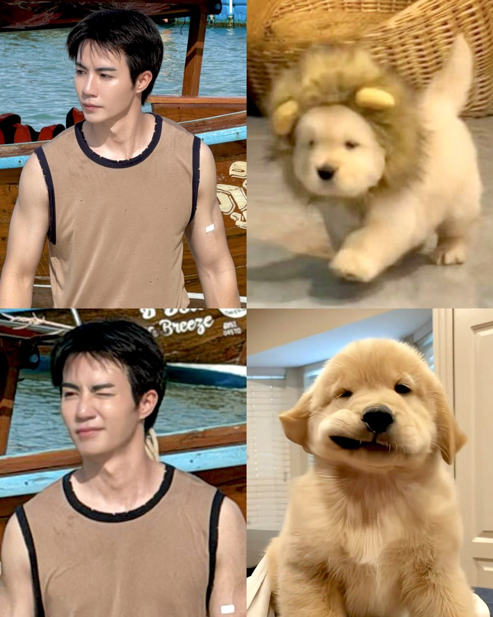 honeyminaa's tweet photo. 🧸🩵💛🦮🐕˚◞#ZeeNuNew 🎀🐈﹆🩷🦄
@zee_pruk 🤎.                           . 🌸 @CwrNew
🐶🐾 ม๋าเด็ก                       กะแมวแอเรียล 🐱🐠 
💙🐬🩵🫧#ZeePruk    #NuNew 🪸🐚👱🏻‍♀️🦞 https://t.co/aPj8rzMbRf