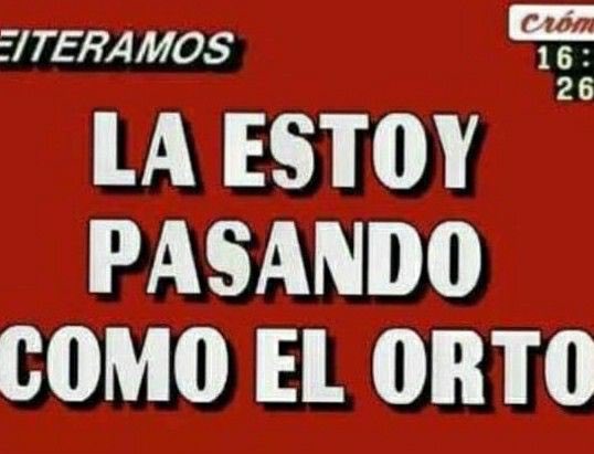 ModoScaloneta's tweet photo. Soy https://t.co/LwwEMYUdLs