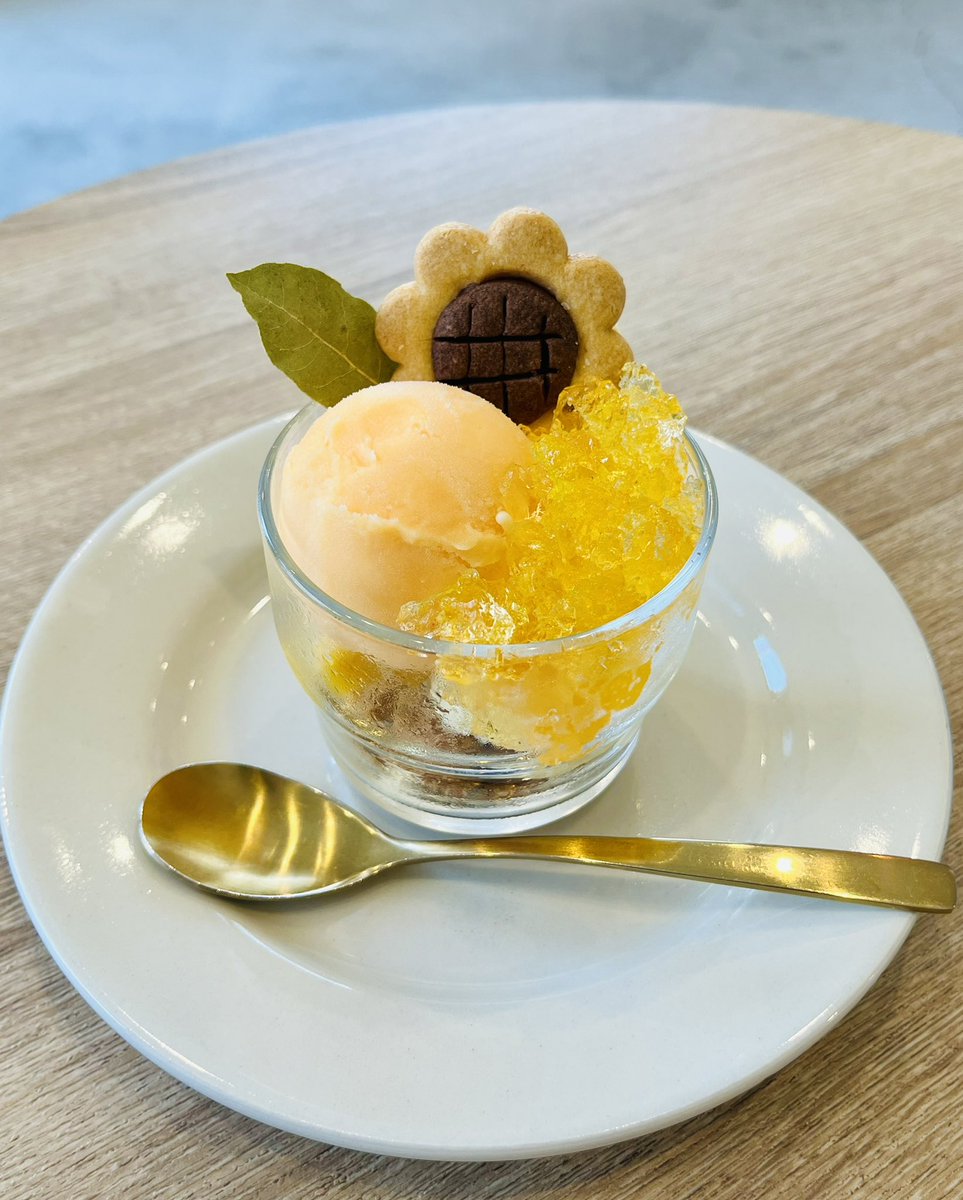 kuma_975's tweet photo. 『夏に重ねて』爽やかなのにグッときて、𝐃𝐞𝐚𝐫 𝐨𝐮𝐫 𝐒𝐮𝐦𝐦𝐞𝐫で聴けたらきっと泣いてしまいそうに良い曲🌻✨

『ベランダの栞』のAiRBLUE感…

早くライブで聴きたい！！

https://t.co/UxXHdmCAgL

https://t.co/qr4TpC8hZi https://t.co/mrK2nkulEd