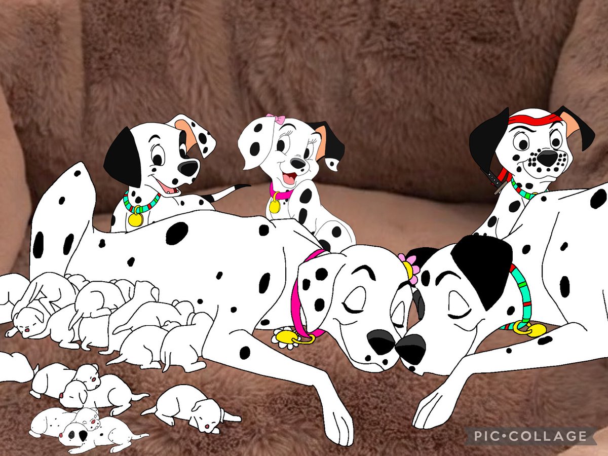 PatDalmatian tweet picture