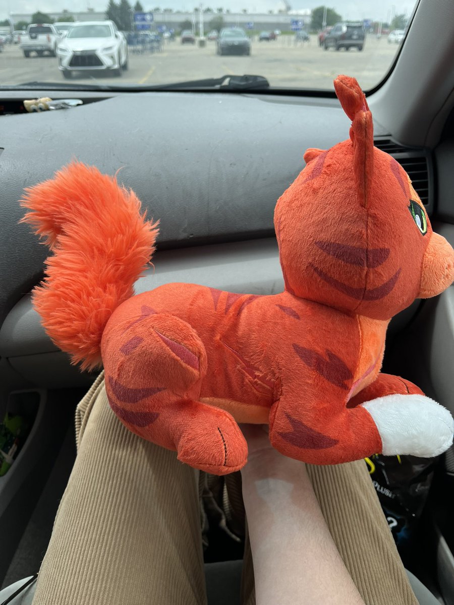 carrotbounce's tweet photo. Found the plush at meijer in Ohio!! They also had the small ones it looked like but it looks like the scalpers got to them already T-T i didn’t see the figures https://t.co/QLgaqU3Iw6