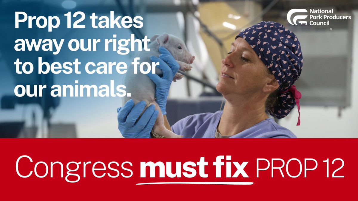 NPPC's tweet photo. The Senate’s farm bill discussion draft includes important priorities for U.S. pork producers, but it does not yet include a fix for CA Prop. 12.
Farmers need certainty to invest in their operations, plan for the future, and provide safe, affordable food for families. #FixProp12 https://t.co/FAqwGuHfQx