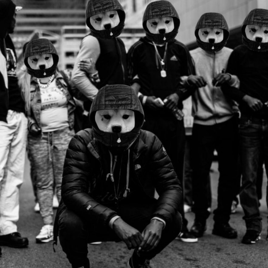 BestMemePoint's tweet photo. @dogfiwcoin Unite the Hood
$FIW
#2024 https://t.co/WtU5vG6tvl