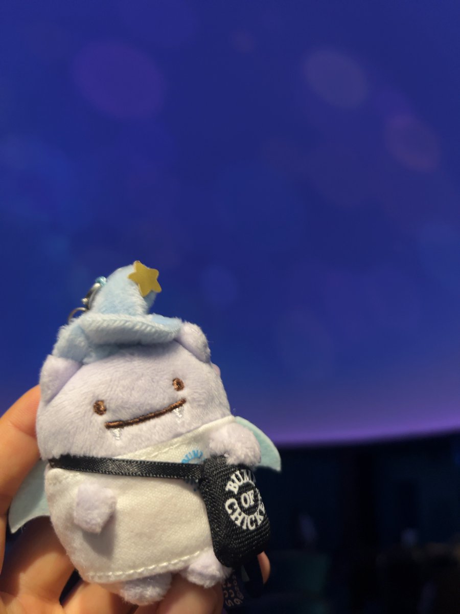 bumpofbird's tweet photo. みんながニコルと撮ってる中逆張り厄介オタクなのでふぁいぶと撮影 https://t.co/eNRO84uGFK