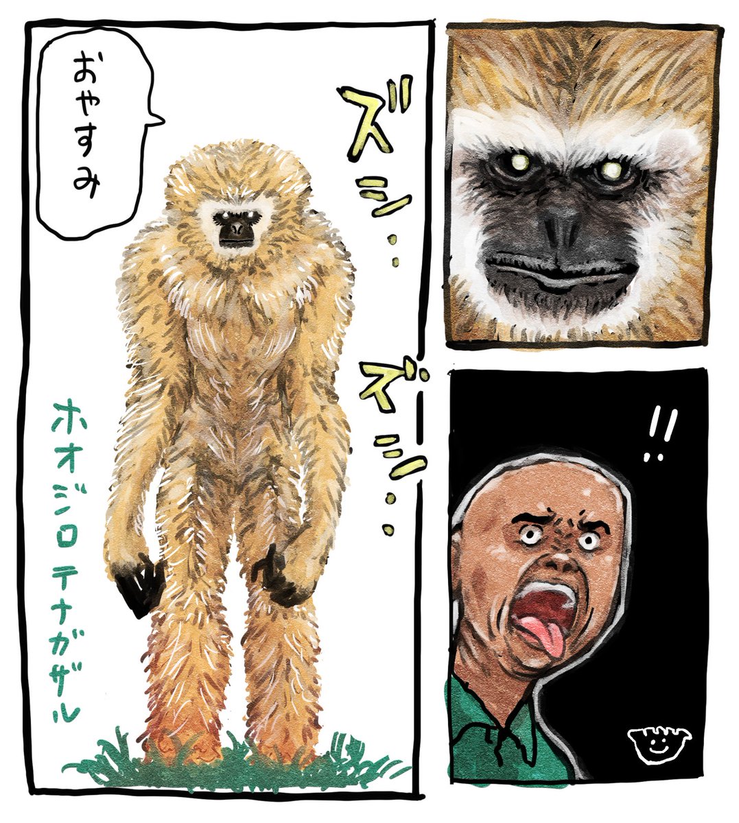 wasoran86's tweet photo. 去年はテングザル推しでしたが、最近はホオジロテナガザルが気になっています。本当に猿さんは不思議で不気味…
意味不明な落書き。
#イラスト #ホオジロテナガザル https://t.co/Jsq5HirPVX
