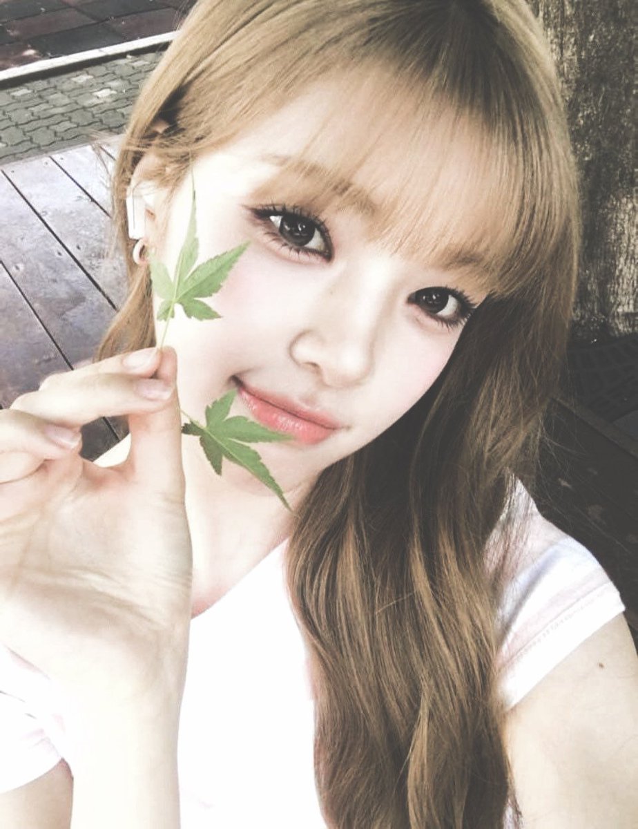Yuhac's tweet photo. ❨ ✶ ❩ ┊ Refreshment  in  summer; 🍂 https://t.co/9l6mtpEZ0h