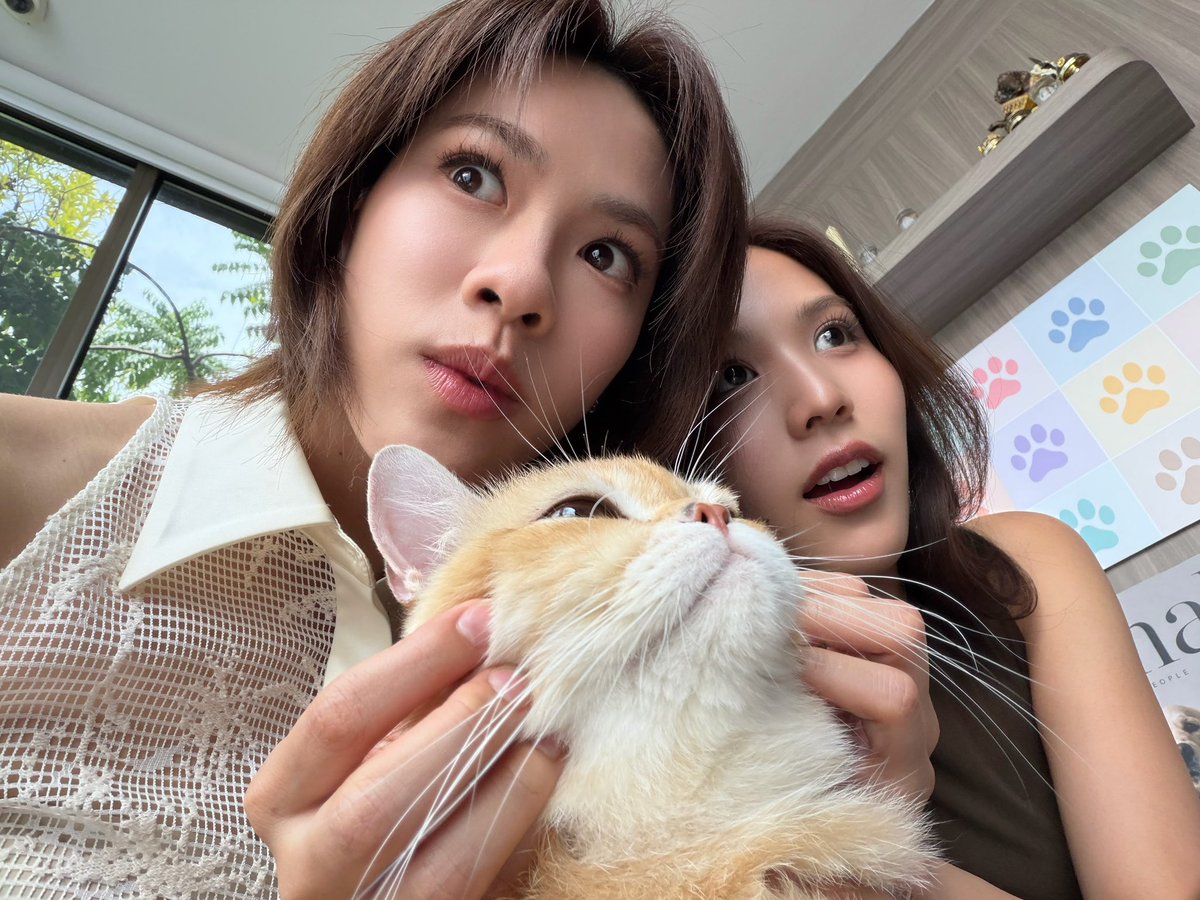 เอหมี tweet media