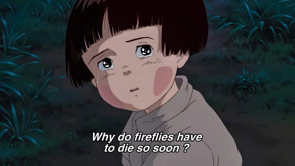 ghiblimind26's tweet photo. Why do fireflies have to die so soon? Some lights are only meant to remind us how precious they are. ✨💔

#GraveOfTheFireflies #StudioGhibli #Anime #Firefly  #IsaoTakahata #Ghibli https://t.co/rcFLNy5RED