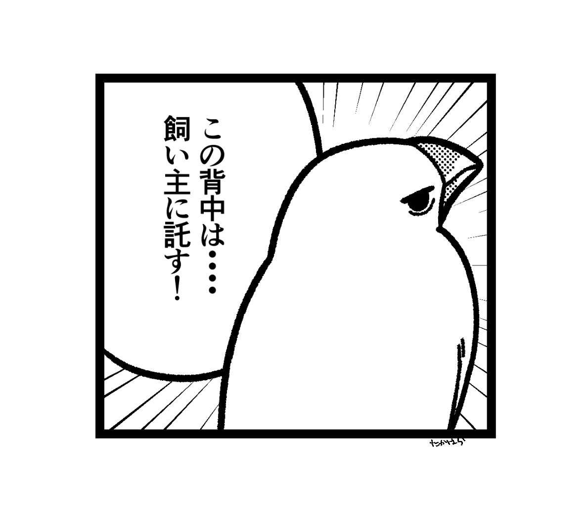 ppp_tk_'s tweet photo. 任せろ！ https://t.co/zaCS0HXZo9
