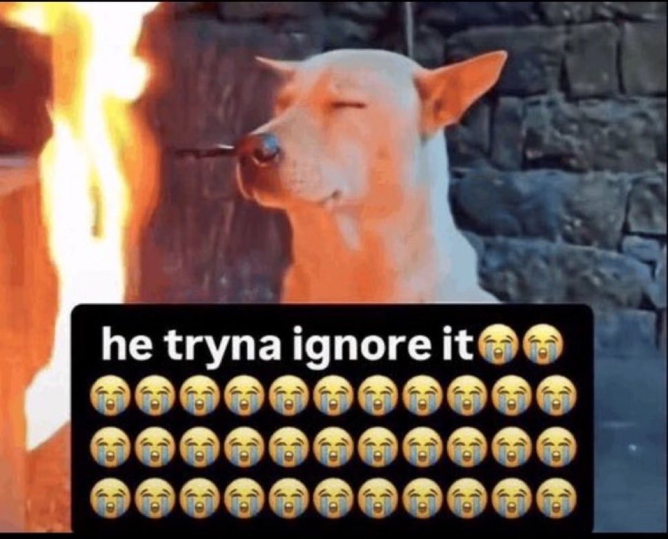 Jesse tweet media