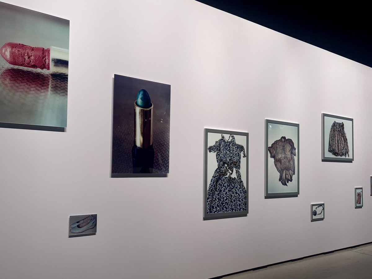 soraaya___'s tweet photo. 「まなざしの奇跡」展 @渋谷ヒカリエ

俳句界隈の方にもおすすめしたい展示だったので。

平日の夕方以降は、それほど混んでいませんでした🙌

特に印象に残った4名の方だけ一言。（リプに続きます） https://t.co/89fBWu1Qi4