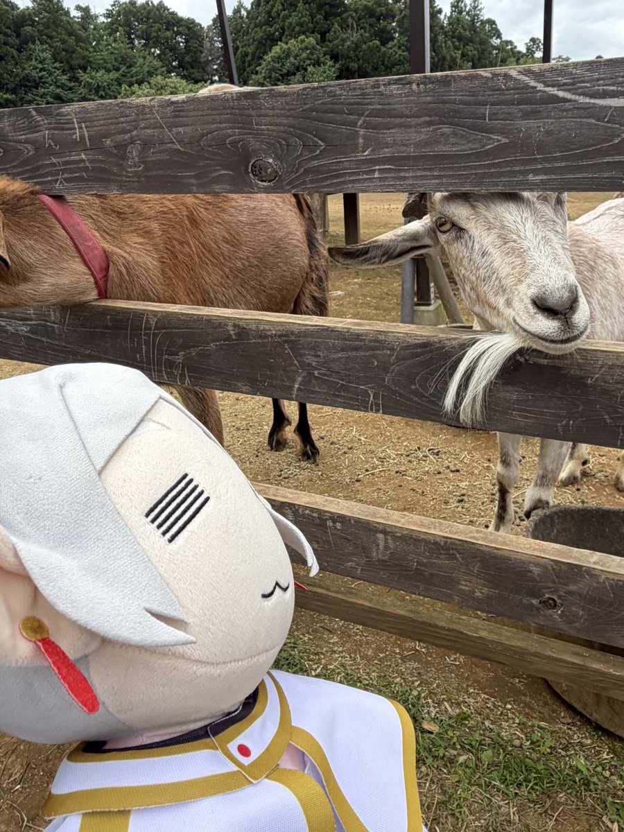 FRIEREN_PR's tweet photo. GOATのフリーレン https://t.co/GFGokNawkX