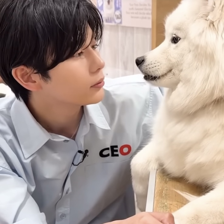 kento_kao's tweet photo. 長尾謙杜　顔 https://t.co/7X1RDA0mTg