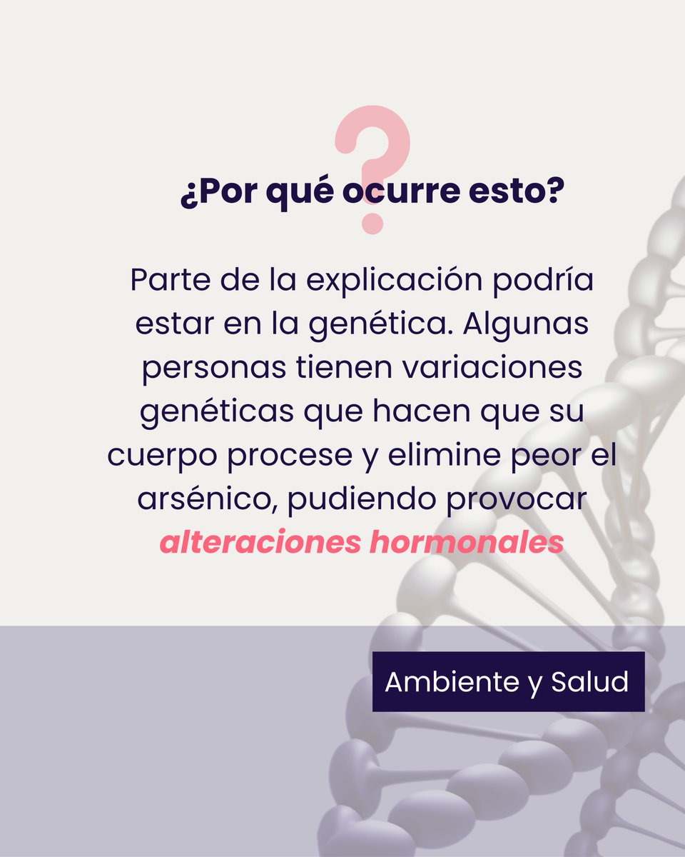 GVAfisabio's tweet photo. ⚖ ¿Qué relación existe entre la exposición prenatal al arsénico y el equilibrio hormonal años después?

📑 Un nuevo estudio del Área de Investigación en Ambiente y Salud de Fisabio y el CIBERESP aporta evidencias al respecto.

Accede al artículo: https://t.co/EDsnKA563T https://t.co/0hkfuYQoFO