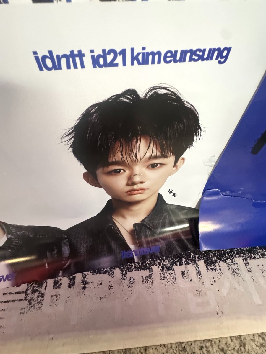SENI_KES's tweet photo. 똥개 발견 🫵🏻

#idntt #itsnotover #KidsReturn #KidsReturn_idntt를찾아라 https://t.co/BWClQKxse1