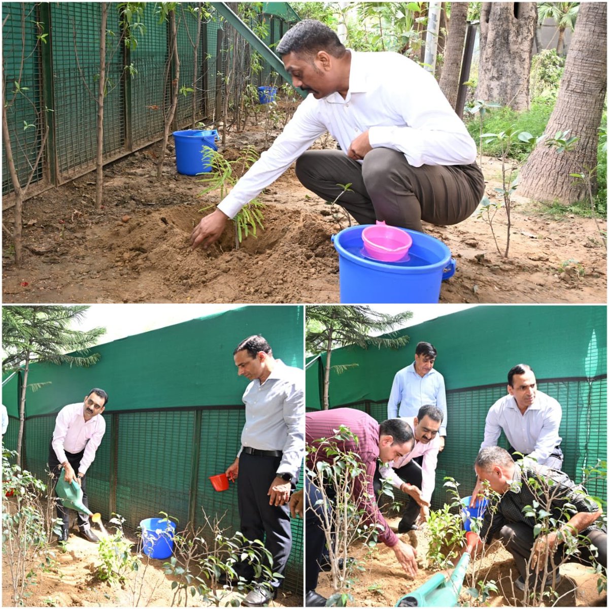 ITBP_official's tweet photo. मिशन 70 लाख पौधारोपण के शुभारंभ के अवसर पर #ITBP बल मुख्यालय में महानिदेशक #ITBP के दिशानिर्देशानुसार पौधारोपण अभियान चलाया गया, जिसमें पदाधिकारियों ने बढ़-चढ़ कर भाग लिया। हर पौधा— "हरित दिल्ली, हरित भारत और सुरक्षित भविष्य" की ओर एक सशक्त कदम। 
#EkPedMaaKeNaam https://t.co/R0nk5s8WGt