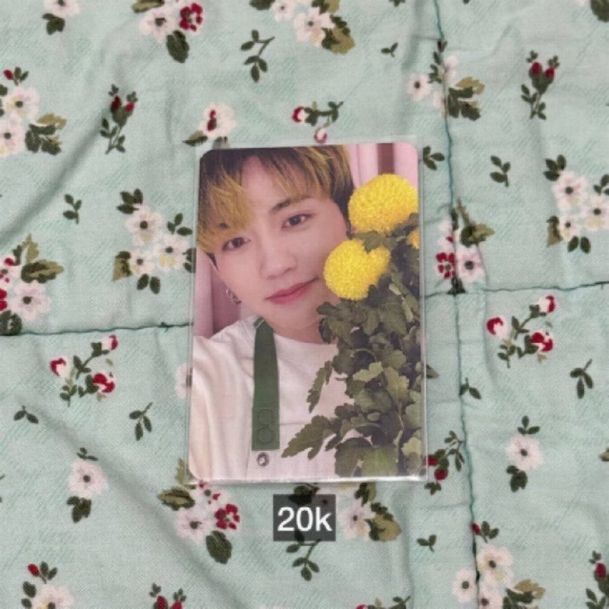 treasuregajaa's tweet photo. wts want to sell 
ready ina, bisa oren keep event
📍sby jatim
dm for order!

# wts treasure takata mashiho blooming photocard pc https://t.co/YqATKJNqVz