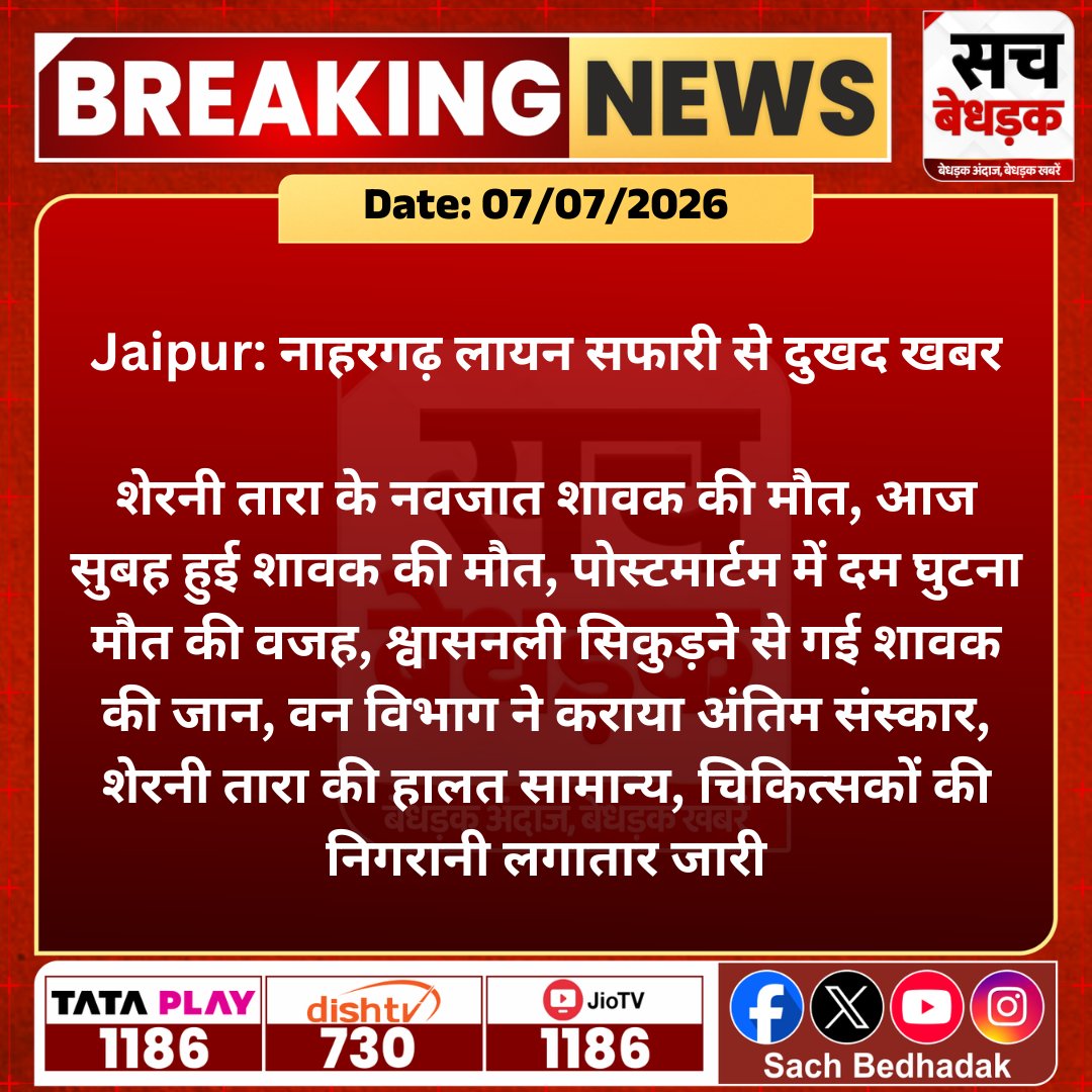SachBedhadak's tweet photo. #Jaipur: नाहरगढ़ लायन सफारी से दुखद खबर

शेरनी तारा के नवजात शावक की मौत, आज सुबह हुई शावक की मौत, पोस्टमार्टम में दम घुटना मौत की वजह, श्वासनली सिकुड़ने...
#SachBedhadak #RajasthanNews @ReporterNikki https://t.co/wQj3n8R192