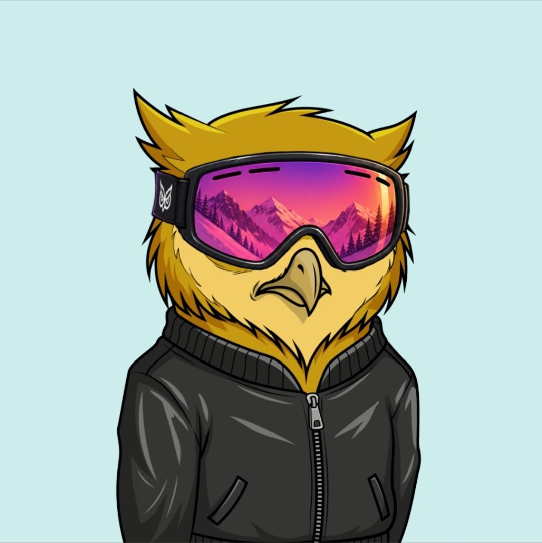Curious84GN tweet picture