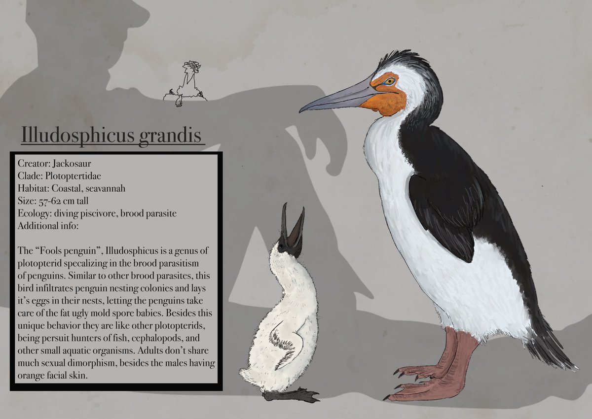 jacksontcrowley's tweet photo. My first 4 entires into lemuira phase 3

A flightless diving bird, a whale, a monotreme, and another flightless bird #Lemuriachallenge https://t.co/Ckln0pW0ea