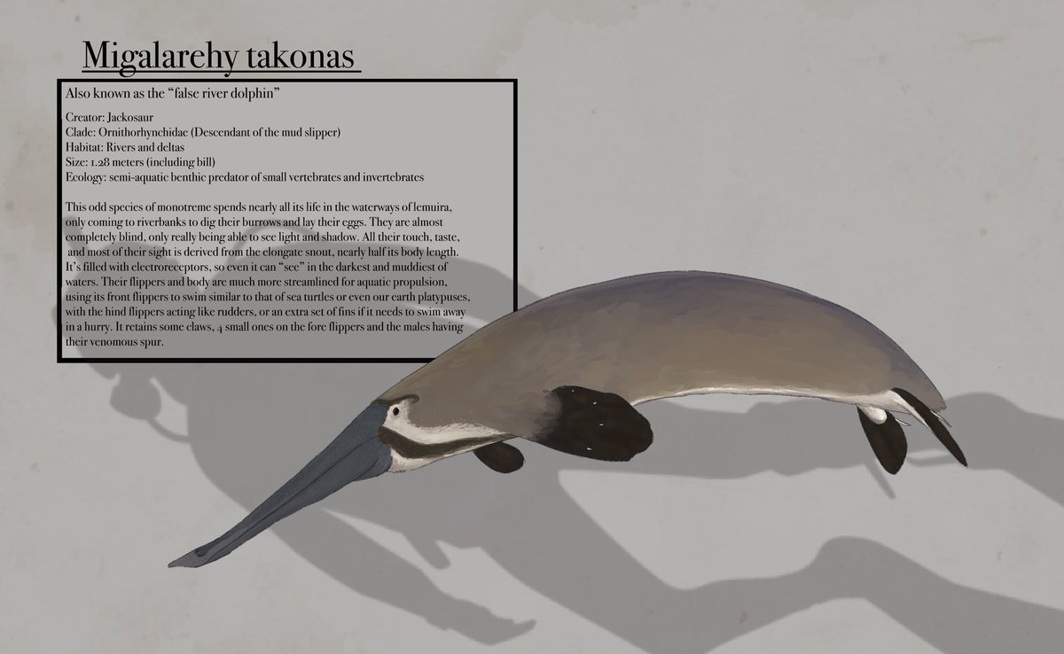 jacksontcrowley's tweet photo. My first 4 entires into lemuira phase 3

A flightless diving bird, a whale, a monotreme, and another flightless bird #Lemuriachallenge https://t.co/Ckln0pW0ea