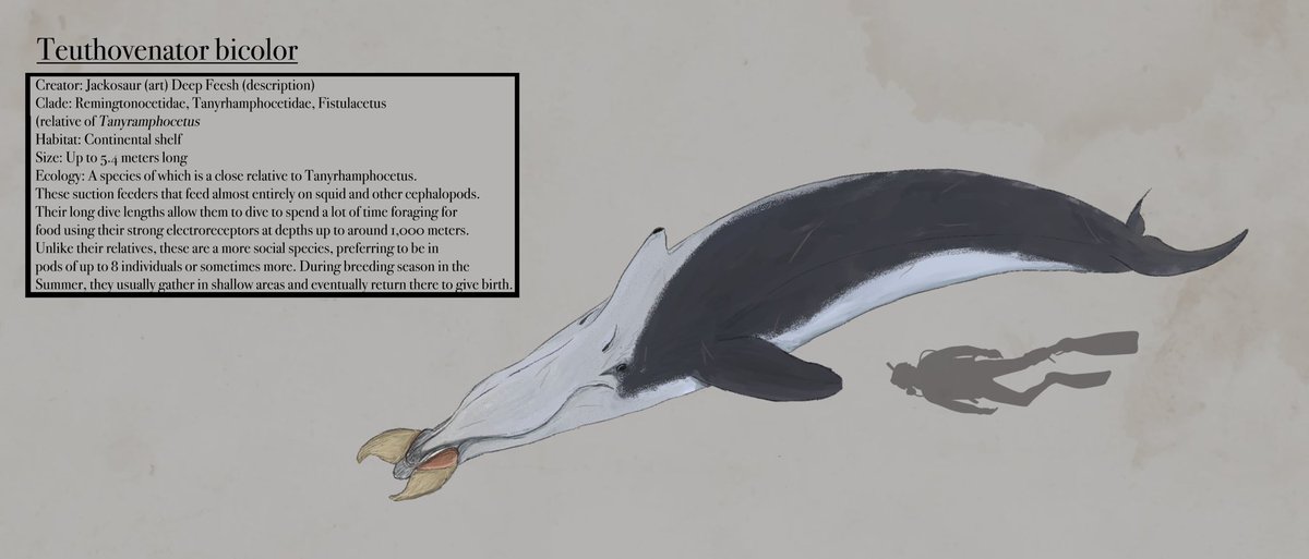 jacksontcrowley's tweet photo. My first 4 entires into lemuira phase 3

A flightless diving bird, a whale, a monotreme, and another flightless bird #Lemuriachallenge https://t.co/Ckln0pW0ea