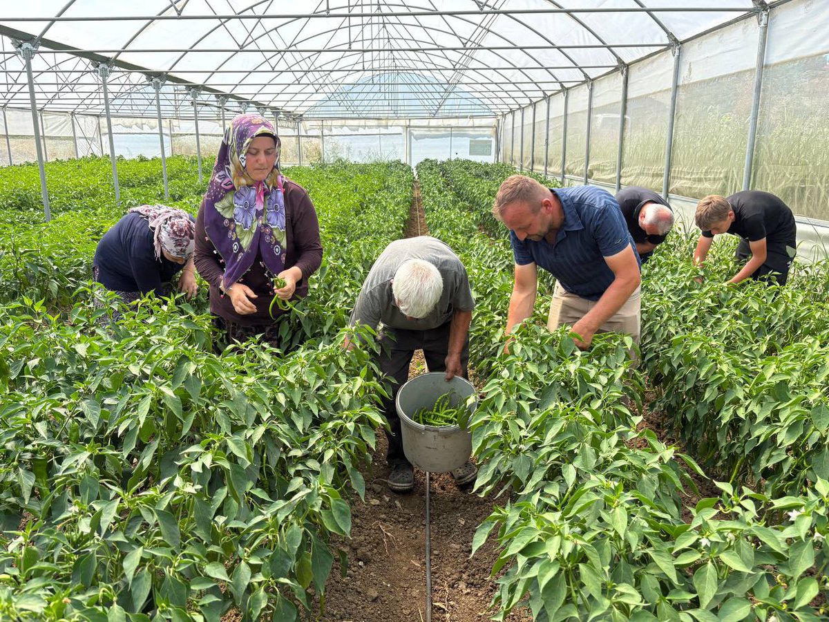 kocaelibld's tweet photo. Üreticimizin yanında olmaya devam ediyoruz. 🌱

Yüzde 50 hibeli modern sera desteğimizle verimli ve kaliteli üretimi destekliyor, Başkanımız Sayın Tahir Büyükakın’ın da vurguladığı gibi üreticimizin yanında yer alarak Kocaeli’nin bereketini geleceğe taşıyoruz. ✅ https://t.co/5PygaOLeDg