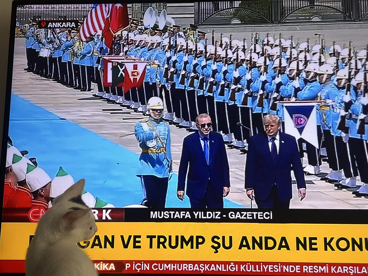 misseducatorTR's tweet photo. Tüm dünya Trump ziyaretine odaklandı 😺 https://t.co/L85zvCotrE