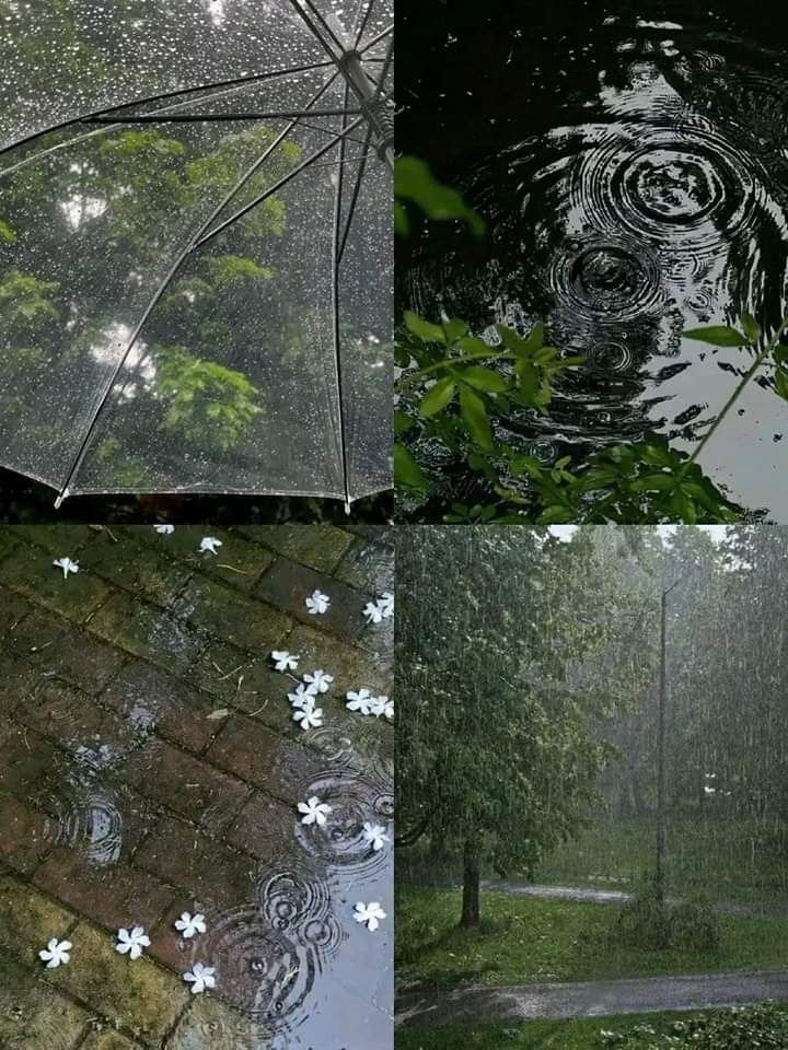 spooky_nature's tweet photo. The things I love in a photo 😌 https://t.co/sBbt7zSdUP
