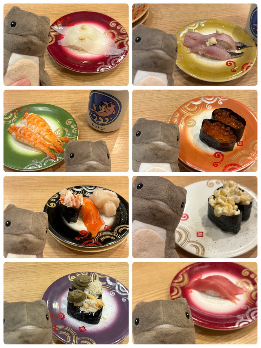 sirata_rs's tweet photo. 誕生日でした(7/5) https://t.co/oRj36mjQE0