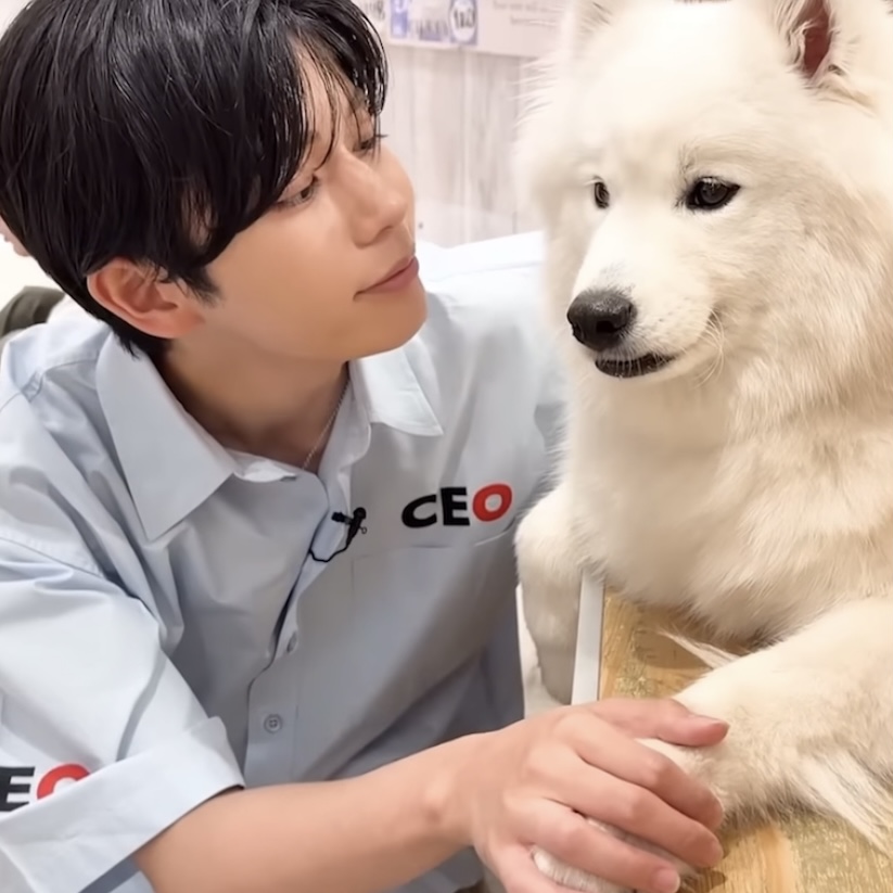 kento_kao's tweet photo. 長尾謙杜　顔 https://t.co/7X1RDA0mTg
