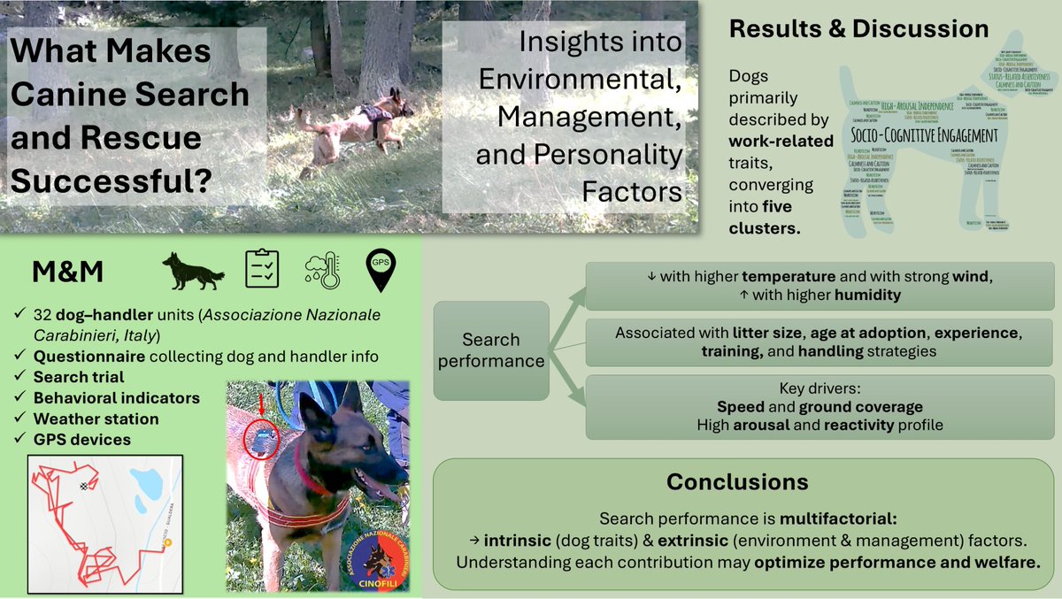 Animals_MDPI's tweet photo. ๐๐จ Editor's Choice: What makes a successful search and rescue dog?
This study shows that SAR performance is influenced by environmental conditions, management, experience, and personality.
๐ https://t.co/A97M4QCxdH
#WorkingDogs #DogWelfare https://t.co/9Vdpk3dvKN