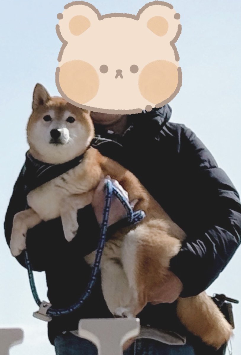 アサリ (@asari_poke) / Posts / X