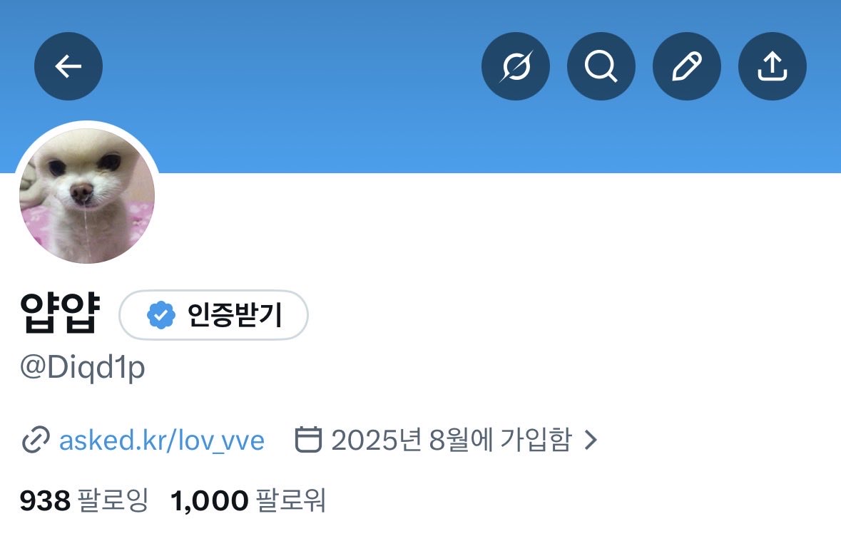 Diqd1p's tweet photo. 와 1000팔로워 감격스러워서 눈물나 
저희 앞으로 교류하면서 재밌게 놀아요 
잘 부탁드려요 🥹🥹 https://t.co/YOaNYYksXF
