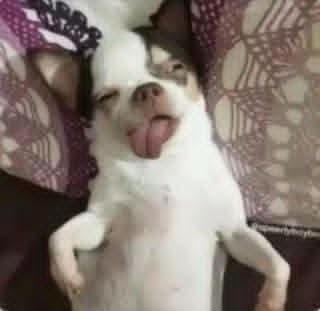 203m210h's tweet photo. ضغطي أول ما يعرف إن الصيف بدأ... 🙆🏻‍♀️ https://t.co/uAAT1RajFd